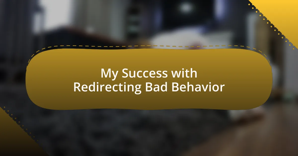 My Success with Redirecting Bad Behavior