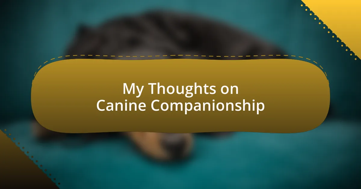 My Thoughts on Canine Companionship