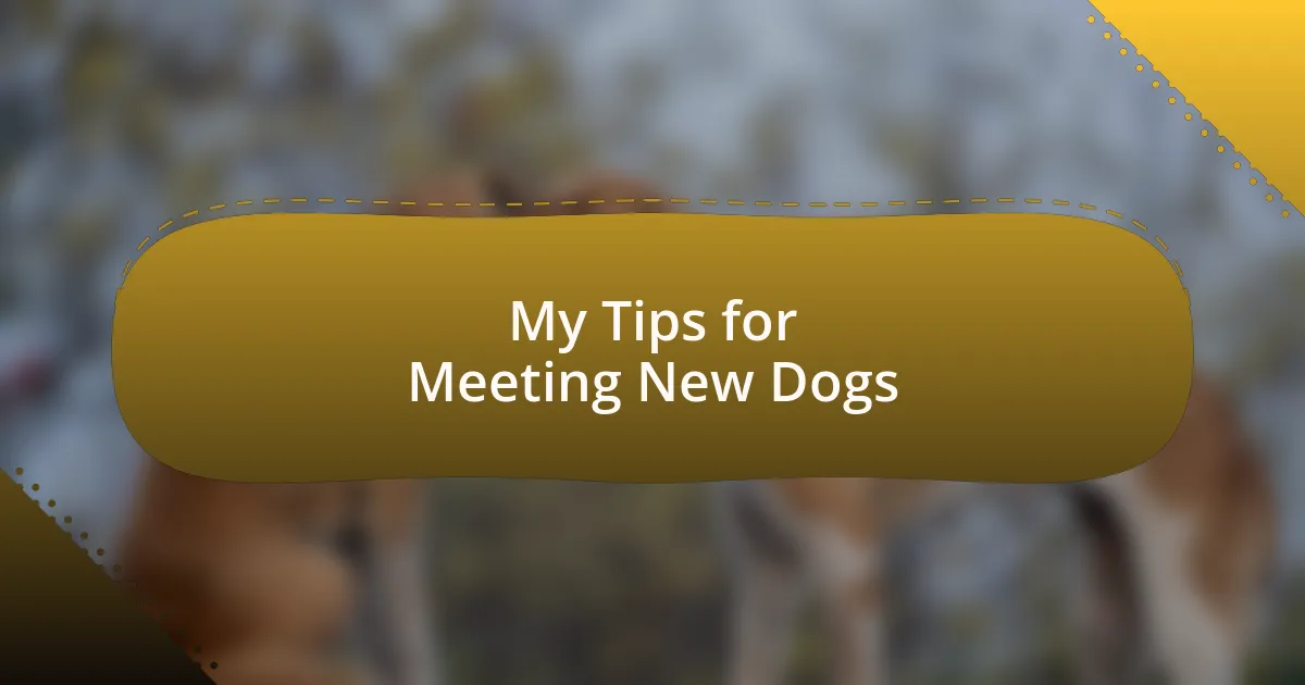 My Tips for Meeting New Dogs
