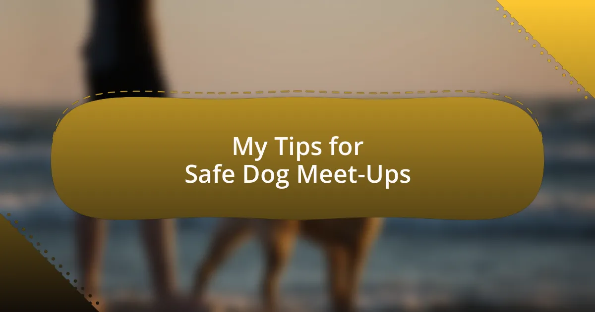 My Tips for Safe Dog Meet-Ups