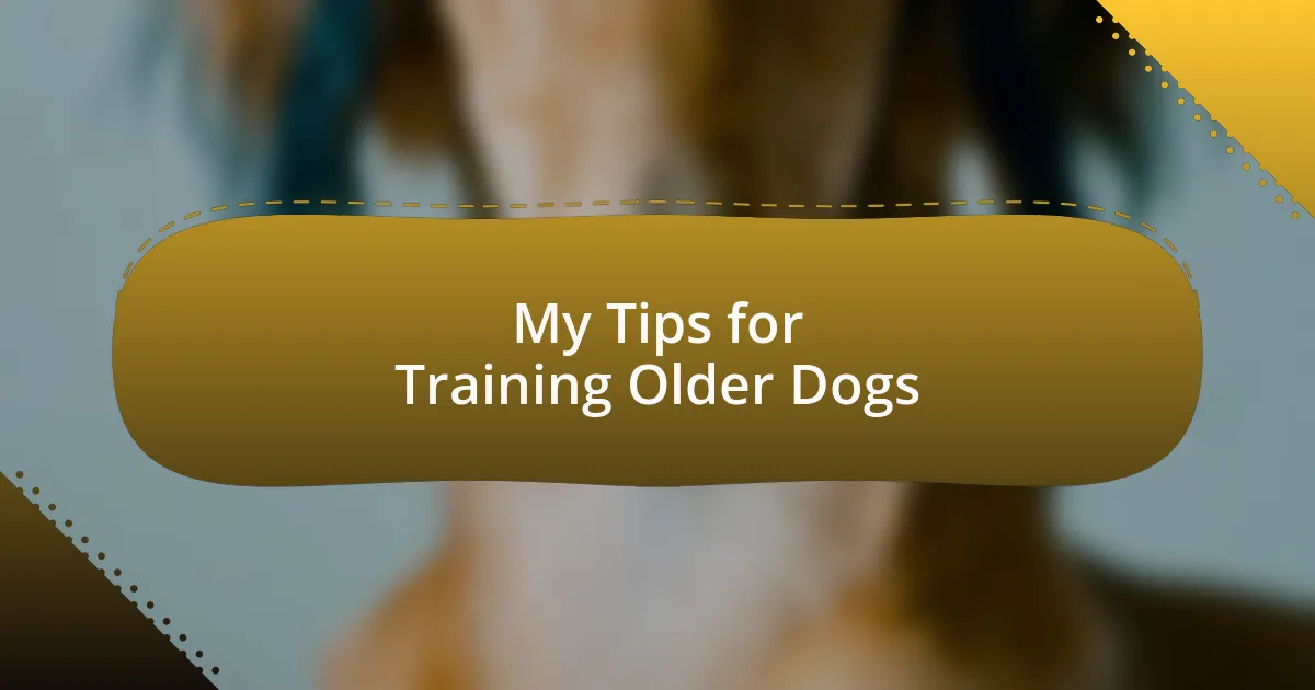 My Tips for Training Older Dogs