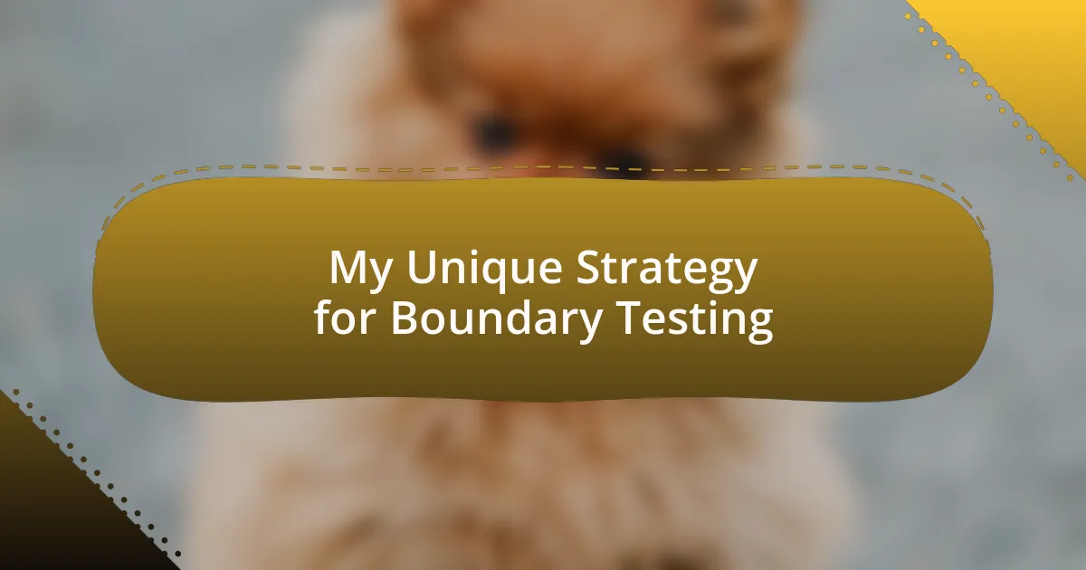 My Unique Strategy for Boundary Testing
