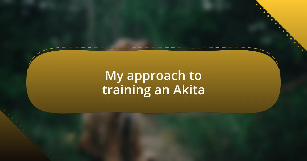 My approach to training an Akita