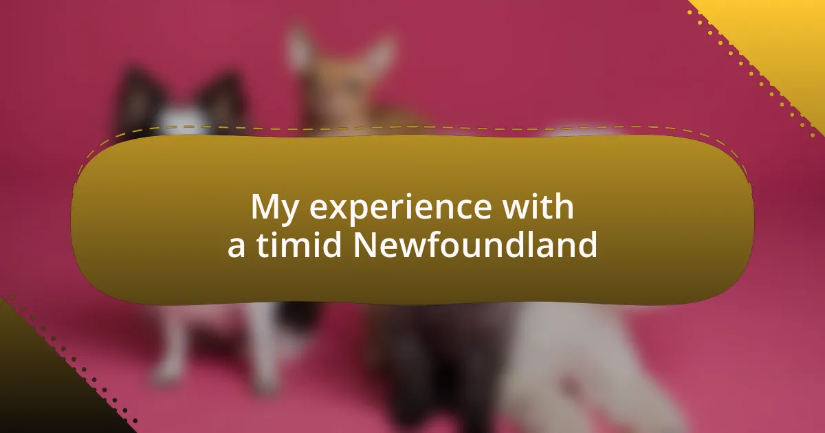 My experience with a timid Newfoundland