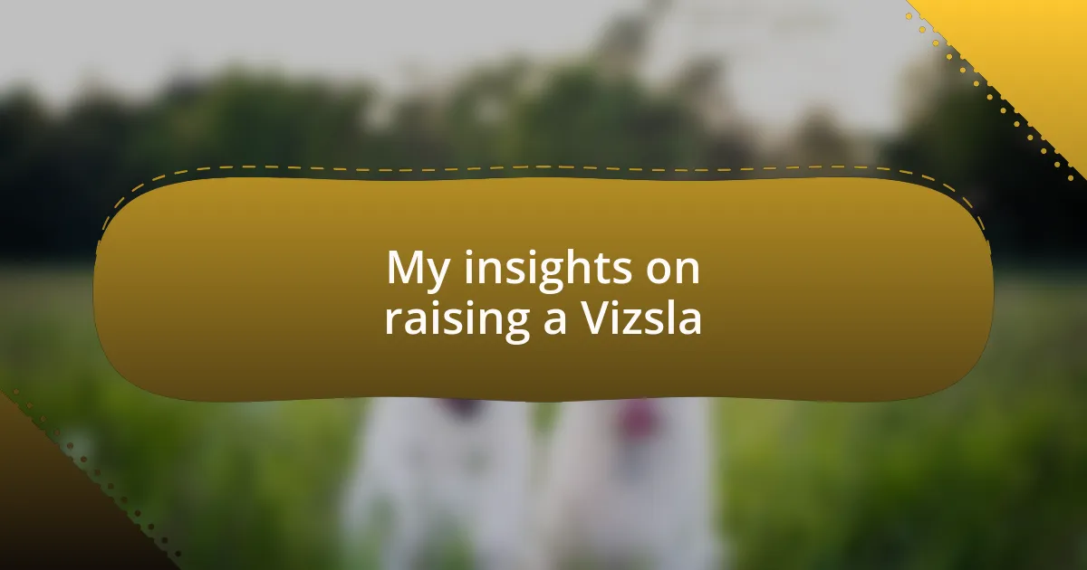 My insights on raising a Vizsla
