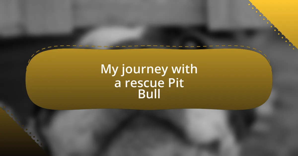 My journey with a rescue Pit Bull