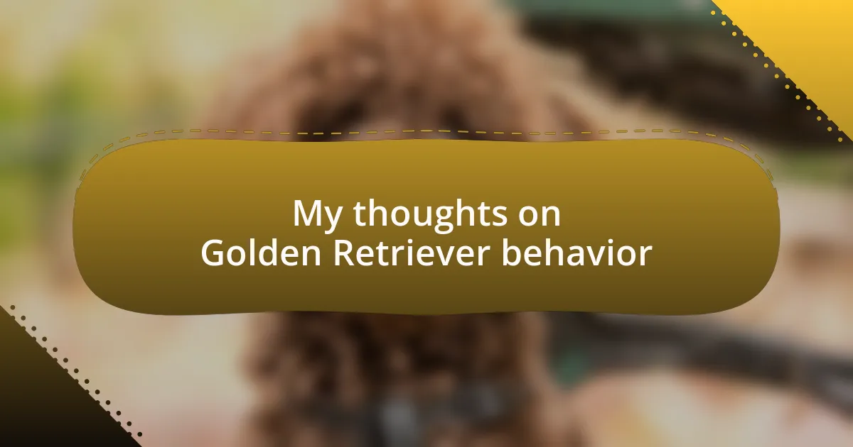 My thoughts on Golden Retriever behavior