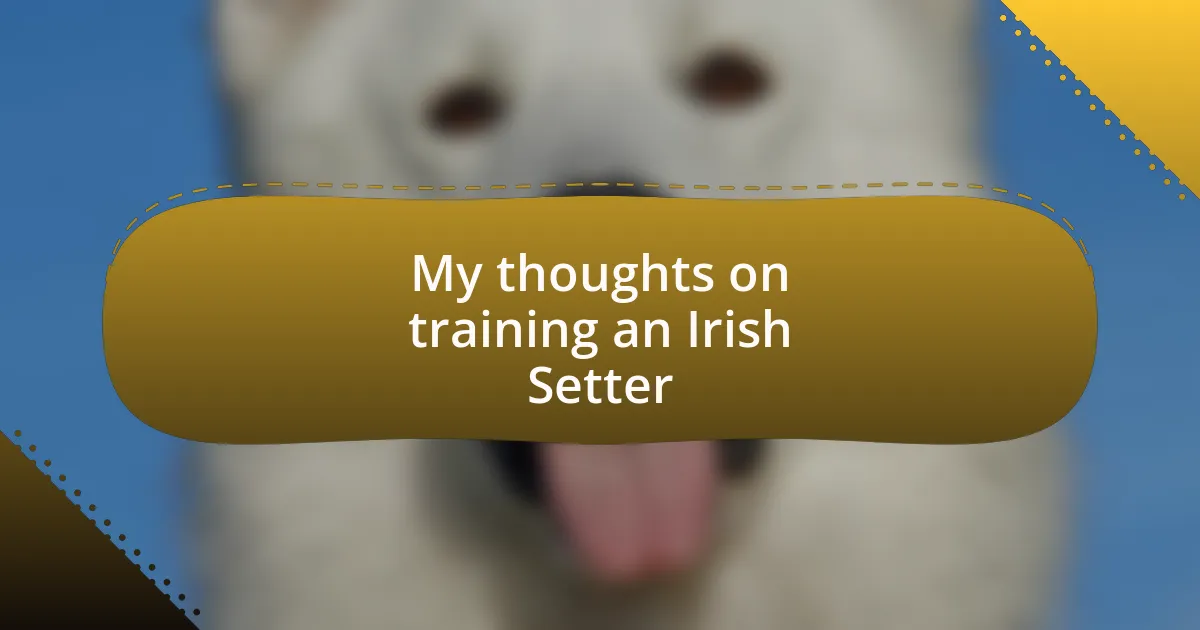 My thoughts on training an Irish Setter