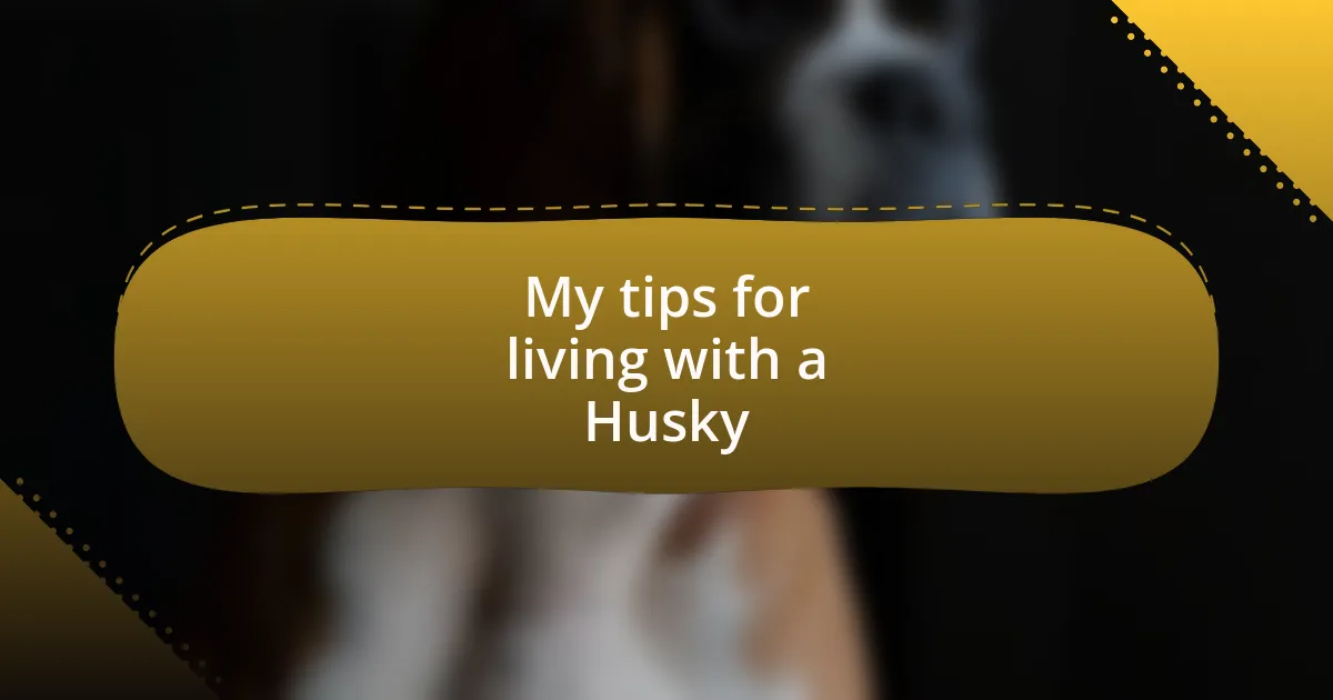 My tips for living with a Husky