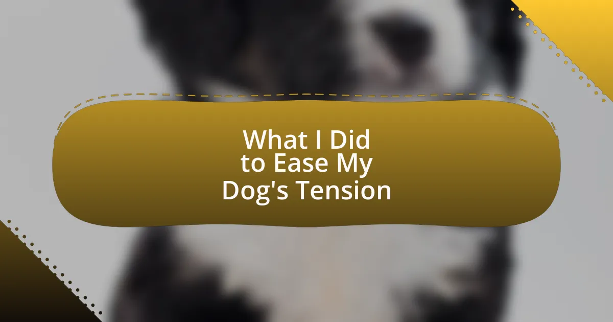 What I Did to Ease My Dog’s Tension
