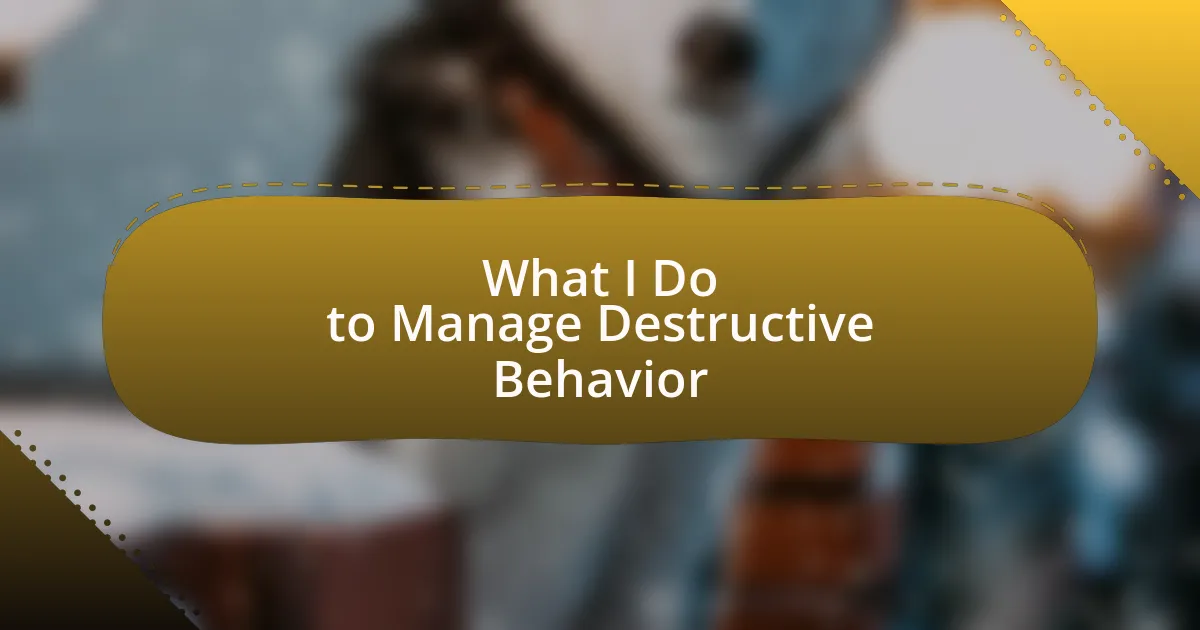 What I Do to Manage Destructive Behavior