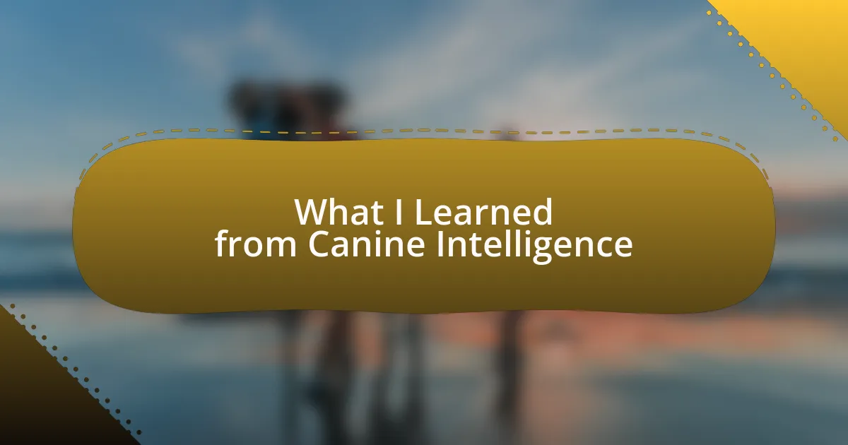 What I Learned from Canine Intelligence