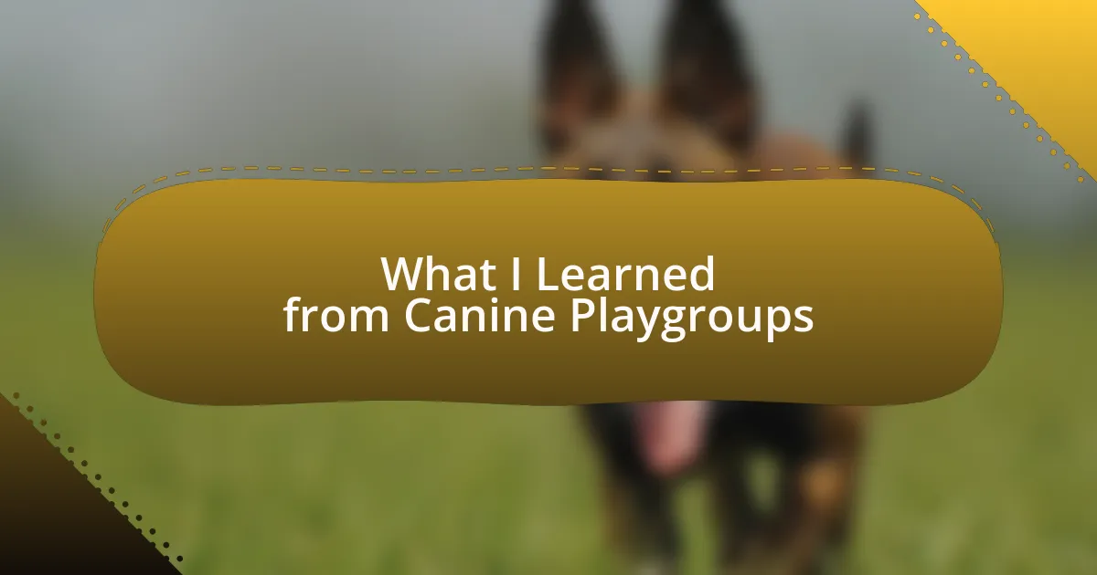 What I Learned from Canine Playgroups