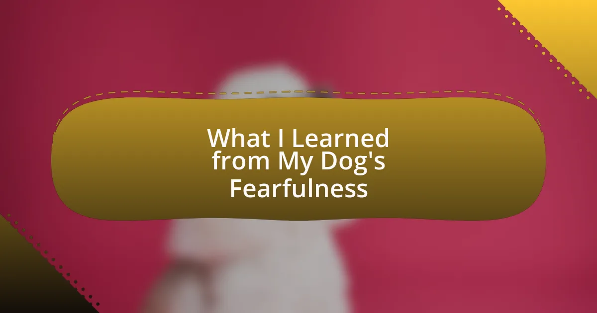 What I Learned from My Dog’s Fearfulness