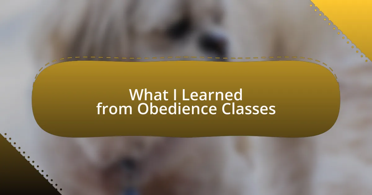 What I Learned from Obedience Classes