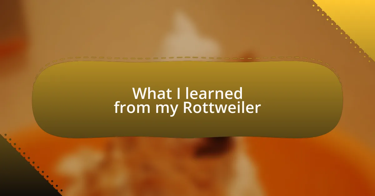 What I learned from my Rottweiler