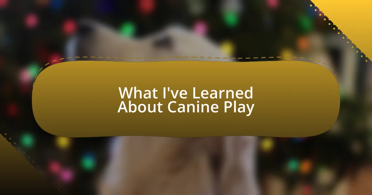 What I’ve Learned About Canine Play