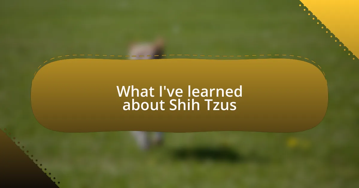 What I’ve learned about Shih Tzus