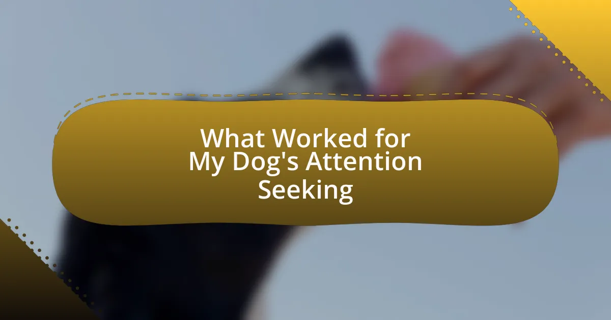 What Worked for My Dog’s Attention Seeking