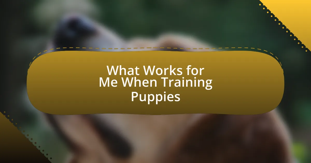 What Works for Me When Training Puppies