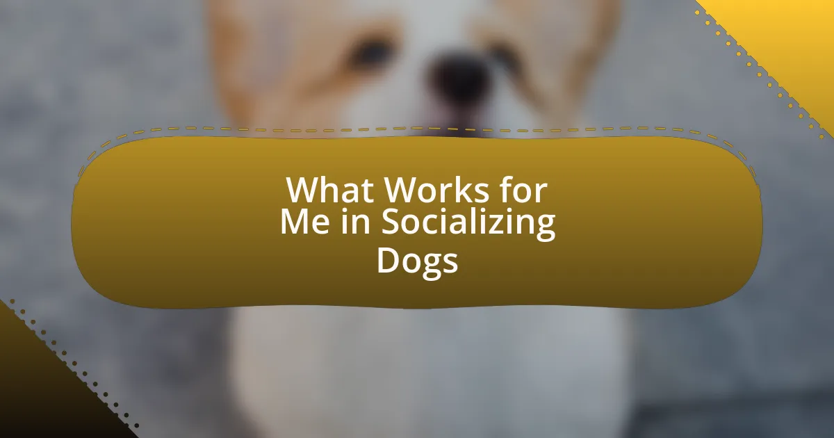 What Works for Me in Socializing Dogs