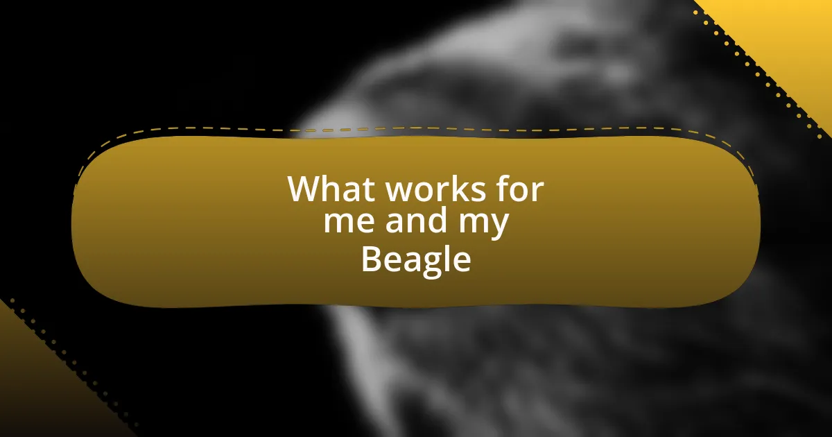 What works for me and my Beagle
